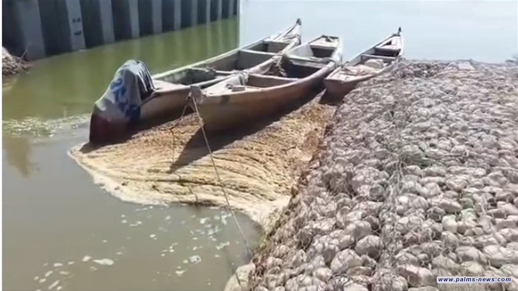 جمعية الأهوار توجهُ رسالة خطيرة إلى وزارة البيئة